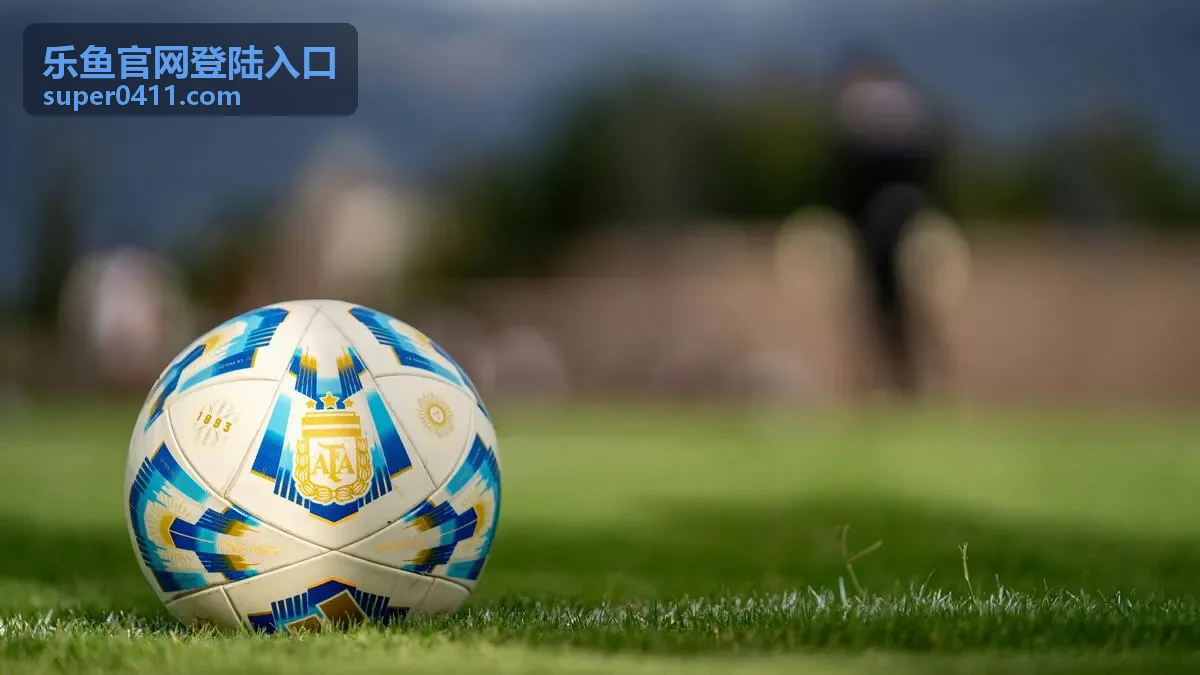 乐鱼官网登陆入口访问流程示意图