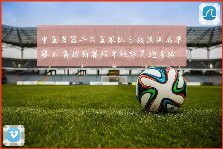 中国男篮半只国家队出战集训名单曝光 备战新赛程年轻球员迎考验