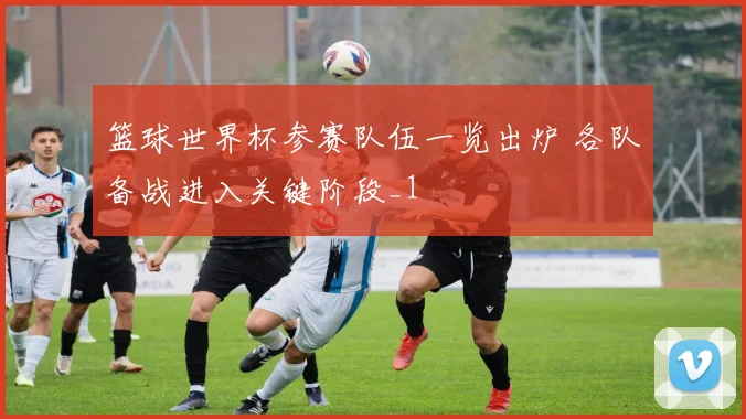 篮球世界杯参赛队伍一览出炉 各队备战进入关键阶段_1
