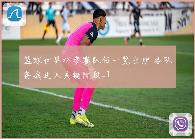 篮球世界杯参赛队伍一览出炉 各队备战进入关键阶段_1