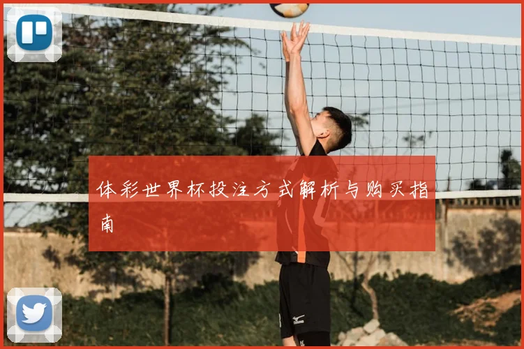 体彩世界杯投注方式解析与购买指南